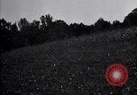 Image of cotton field United States USA, 1926, second 36 stock footage video 65675028410