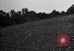 Image of cotton field United States USA, 1926, second 37 stock footage video 65675028410