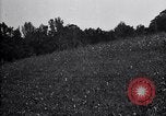 Image of cotton field United States USA, 1926, second 38 stock footage video 65675028410