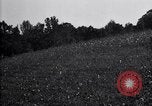 Image of cotton field United States USA, 1926, second 39 stock footage video 65675028410