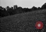 Image of cotton field United States USA, 1926, second 40 stock footage video 65675028410
