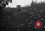 Image of cotton field United States USA, 1926, second 43 stock footage video 65675028410