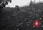 Image of cotton field United States USA, 1926, second 45 stock footage video 65675028410