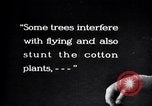 Image of cotton field United States USA, 1926, second 50 stock footage video 65675028410