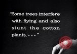 Image of cotton field United States USA, 1926, second 54 stock footage video 65675028410