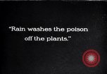 Standbild Cotton Field United States USA, 1926, aus Sekunde 1 historischem Filmmaterial Videoclip 65675028411