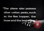 Image of cotton field United States USA, 1926, second 56 stock footage video 65675028412