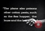 Image of cotton field United States USA, 1926, second 57 stock footage video 65675028412