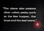 Image of cotton field United States USA, 1926, second 61 stock footage video 65675028412