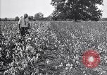 Image of airplane dusting poison United States USA, 1926, second 36 stock footage video 65675028415