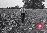 Image of airplane dusting poison United States USA, 1926, second 42 stock footage video 65675028415