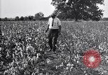 Image of airplane dusting poison United States USA, 1926, second 43 stock footage video 65675028415