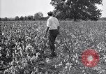 Image of airplane dusting poison United States USA, 1926, second 45 stock footage video 65675028415