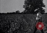 Image of airplane dusting poison United States USA, 1926, second 51 stock footage video 65675028415