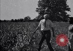 Image of airplane dusting poison United States USA, 1926, second 52 stock footage video 65675028415