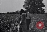 Image of airplane dusting poison United States USA, 1926, second 55 stock footage video 65675028415
