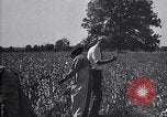 Image of airplane dusting poison United States USA, 1926, second 59 stock footage video 65675028415