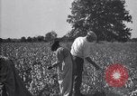 Image of airplane dusting poison United States USA, 1926, second 60 stock footage video 65675028415