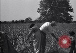 Image of airplane dusting poison United States USA, 1926, second 61 stock footage video 65675028415