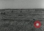 Standbild US-Soldaten Korea, 1953, aus Sekunde 21 historischem Filmmaterial Videoclip 65675028424