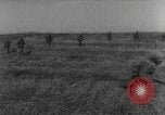 Standbild US-Soldaten Korea, 1953, aus Sekunde 24 historischem Filmmaterial Videoclip 65675028424