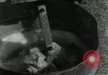 Standbild US-Soldaten Korea, 1953, aus Sekunde 16 historischem Filmmaterial Videoclip 65675028425
