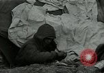 Image US Army 1st Infantry Division à la bataille des Ardennes et en Allemagne Western Front théâtre européen, 1945, de la seconde 18 séquences d'archives historiques vidéo 65675028436