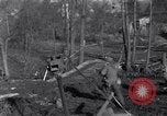 Image 315Infantry 79e Division Scheibenhardt Allemagne, 1944, de la seconde 25 séquences d'archives historiques vidéo 65675028438