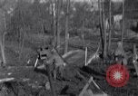 Image 315Infantry 79e Division Scheibenhardt Allemagne, 1944, de la seconde 26 séquences d'archives historiques vidéo 65675028438