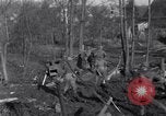 Image 315Infantry 79e Division Scheibenhardt Allemagne, 1944, de la seconde 29 séquences d'archives historiques vidéo 65675028438