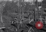 Image 315Infantry 79e Division Scheibenhardt Allemagne, 1944, de la seconde 30 séquences d'archives historiques vidéo 65675028438