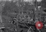 Image 315Infantry 79e Division Scheibenhardt Allemagne, 1944, de la seconde 31 séquences d'archives historiques vidéo 65675028438