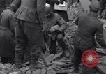 Immagine di Prigionieri tedeschi Bastogne Belgio, 1945, secondo 35 filmato di repertorio 65675028440