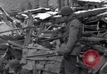 Immagine di Prigionieri tedeschi Bastogne Belgio, 1945, secondo 48 filmato di repertorio 65675028440