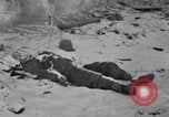 Image des épaves de véhicules Bastogne Belgique, 1945, de la seconde 61 séquences d'archives historiques vidéo 65675028441