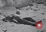 Image des épaves de véhicules Bastogne Belgique, 1945, de la seconde 62 séquences d'archives historiques vidéo 65675028441