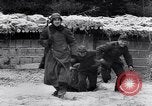 Immagine di Truppe tedesche in inverno Fronte russo, 1942, secondo 28 filmato di repertorio 65675028443