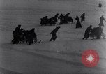 Immagine di Truppe tedesche in inverno Fronte russo, 1942, secondo 49 filmato di repertorio 65675028443