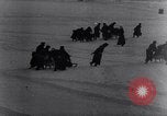 Immagine di Truppe tedesche in inverno Fronte russo, 1942, secondo 50 filmato di repertorio 65675028443