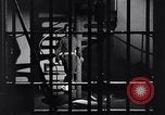Image of American women United States USA, 1944, second 57 stock footage video 65675028447
