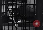 Image of American women United States USA, 1944, second 59 stock footage video 65675028447