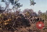 Standbild Vereinigten Staaten Marines Con Thien Vietnam, 1967, aus Sekunde 32 historischem Filmmaterial Videoclip 65675028464