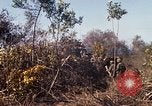 Standbild Vereinigten Staaten Marines Con Thien Vietnam, 1967, aus Sekunde 34 historischem Filmmaterial Videoclip 65675028464