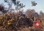 Standbild Vereinigten Staaten Marines Con Thien Vietnam, 1967, aus Sekunde 35 historischem Filmmaterial Videoclip 65675028464