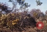 Standbild Vereinigten Staaten Marines Con Thien Vietnam, 1967, aus Sekunde 37 historischem Filmmaterial Videoclip 65675028464