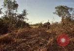 Standbild Vereinigten Staaten Marines Con Thien Vietnam, 1967, aus Sekunde 41 historischem Filmmaterial Videoclip 65675028464