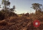 Standbild Vereinigten Staaten Marines Con Thien Vietnam, 1967, aus Sekunde 42 historischem Filmmaterial Videoclip 65675028464