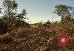 Standbild Vereinigten Staaten Marines Con Thien Vietnam, 1967, aus Sekunde 44 historischem Filmmaterial Videoclip 65675028464