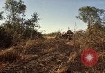 Standbild Vereinigten Staaten Marines Con Thien Vietnam, 1967, aus Sekunde 46 historischem Filmmaterial Videoclip 65675028464