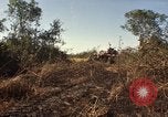 Standbild Vereinigten Staaten Marines Con Thien Vietnam, 1967, aus Sekunde 47 historischem Filmmaterial Videoclip 65675028464